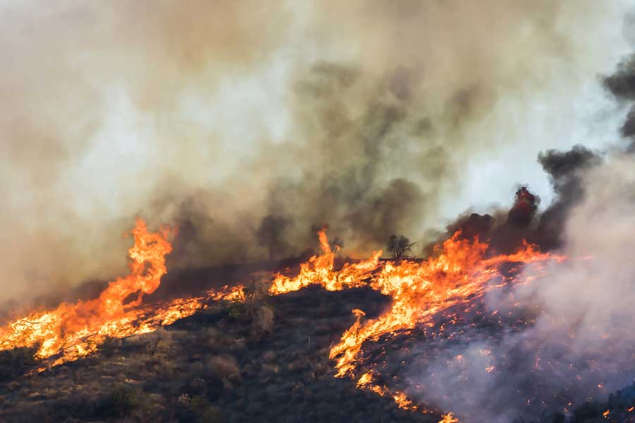 Wildfire Smoke Employment Requirements in California | Aria Law ...